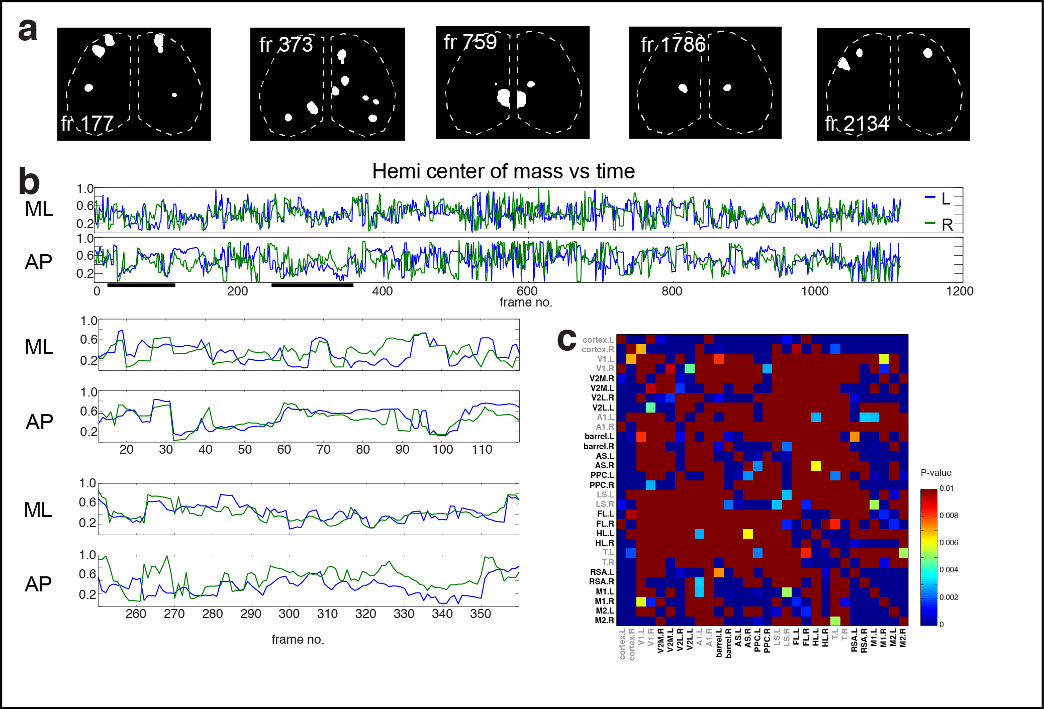 Figure 3. Cortical domain activity exhibits bilateral symmetry. a Examples of domains exhibiting spatially symmetric activations. Notice most timepoints contain a mixture of symmetric and asymmetric domain activations. b Hemispheric domain centers of mass for coactive frames in a recording along medial-lateral (ML) and anterior-posterior (AP) extents. Bottom panels show the periods indicated by black bars at expanded view. c Plot of hemispheric domain centers of mass for coactive frames. d Correlation matrix of domain activity among cortical areas.