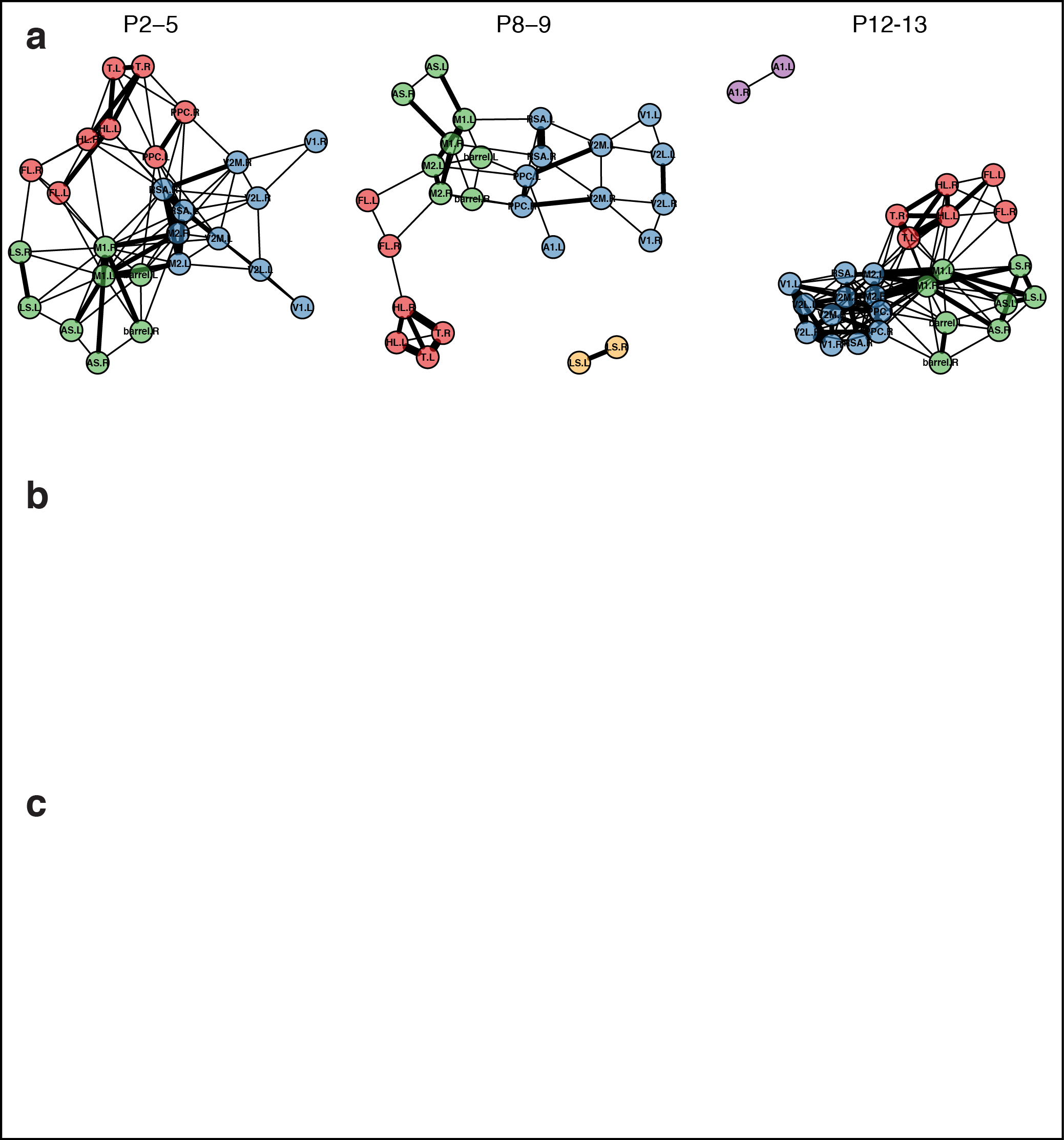  Figure 5. Subnetworks in developing neocortex. a Correlation matrix of domain activity among cortical areas. Colormap indicates Pearson's r correlation coefficient values. b Graph of functional connections for r > 0.15. Community structure detected with hierarchical clustering are indicated in 4 colors. Notice that S1-limb/body regions form a distinct subgraph (red). c Map of cortical area associations for r > 0.1.