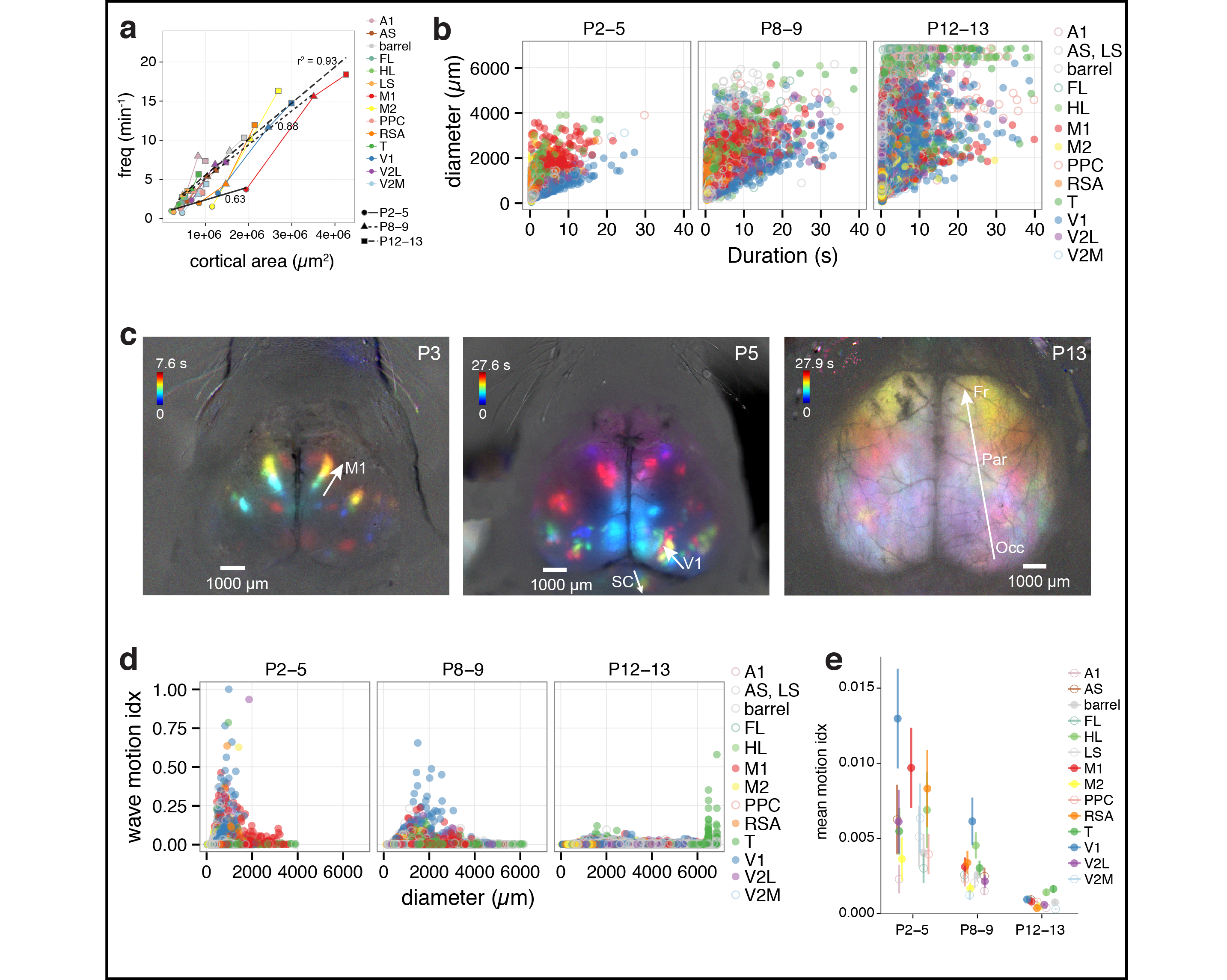 Figure 2. Spatiotemporal characteristics of cortical domains. a Domain frequency as function of cortical area size. b Scatterplots of domain diameter and duration. c Time projection maps of waves in motor cortex at P3, visual cortex at P5, and occipital-parietal-frontal cortex at P13. d Scatterplots of wave motion index as function of domain diameter. e Mean wave motion index over development.