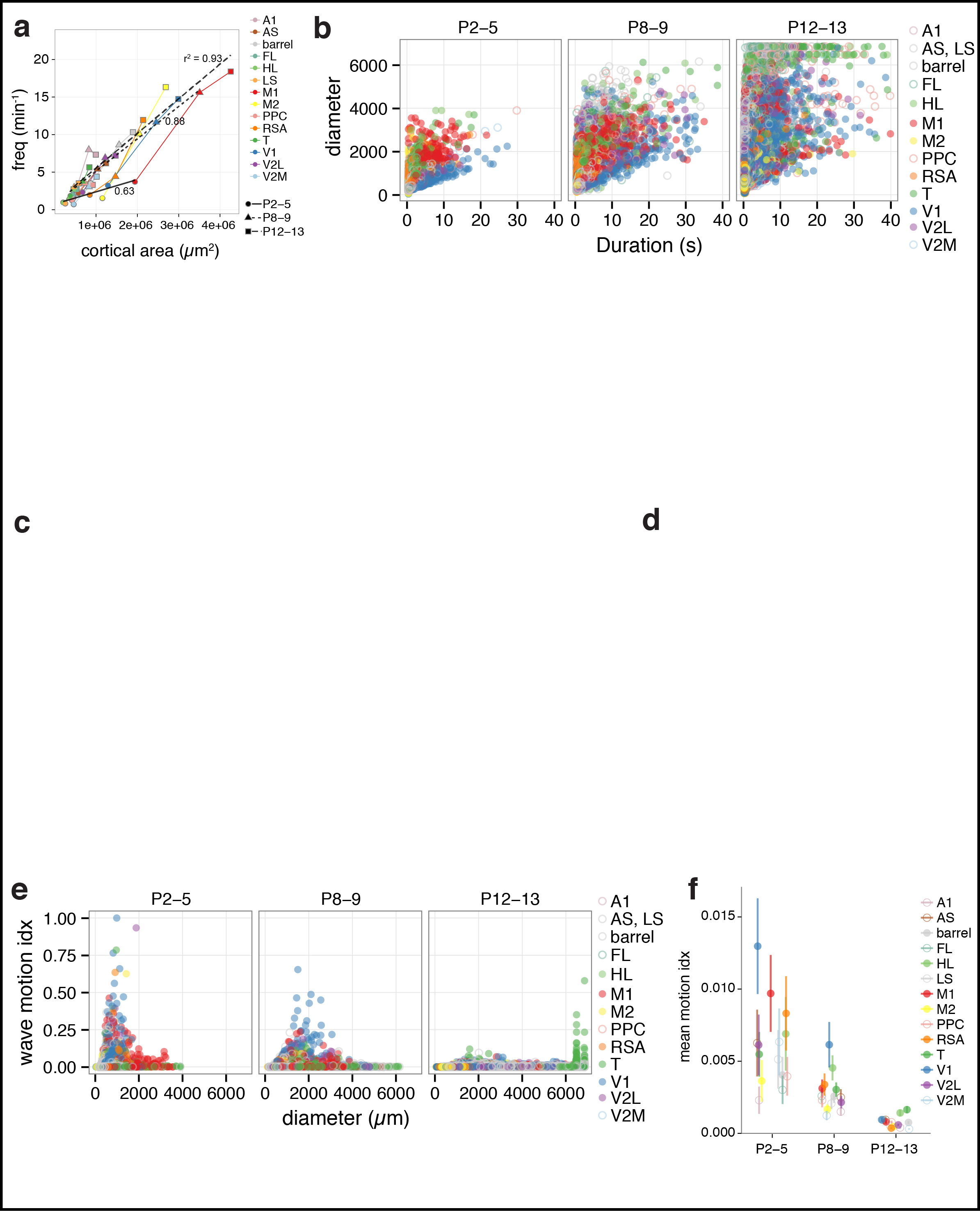 Figure 2. Spatiotemporal characteristics of cortical domains. a Domain frequency as function of cortical area size. b Scatterplots of domain diameter and duration. c Time projection color maps of waves in visual cortex and motor cortex at P5. d Time projection color maps of interareal activations at P13. e Scatterplots of wave motion index as function of domain diameter. f Mean wave motion index over development.
