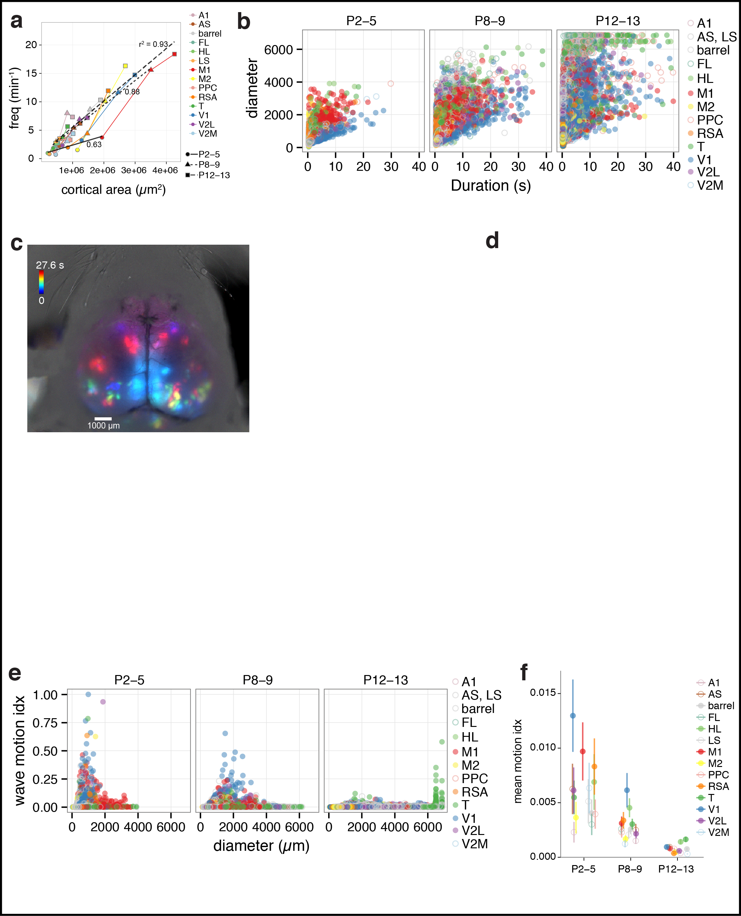 Figure 2. Spatiotemporal characteristics of cortical domains. a Domain frequency as function of cortical area size. b Scatterplots of domain diameter and duration. c Time projection color maps of waves in visual cortex and motor cortex at P5. d Time projection color maps of interareal activations at P13. e Scatterplots of wave motion index as function of domain diameter. f Mean wave motion index over development.
